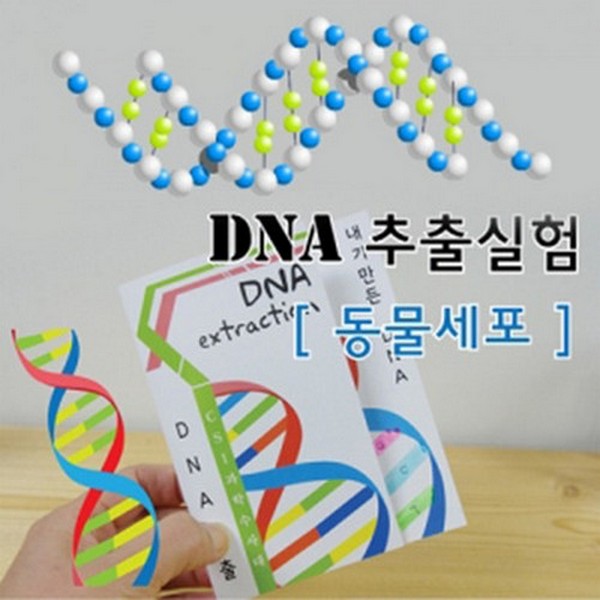 동물세포DNA추출법10인용