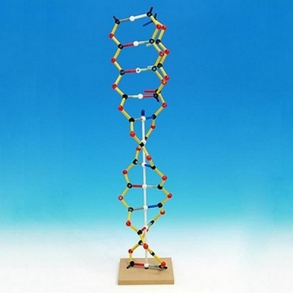 DNA-RNA키트궤도