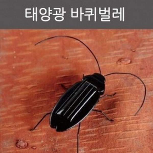 태양광바퀴벌레