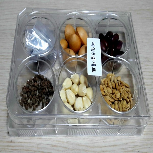 여러가지 씨앗(6종세트)