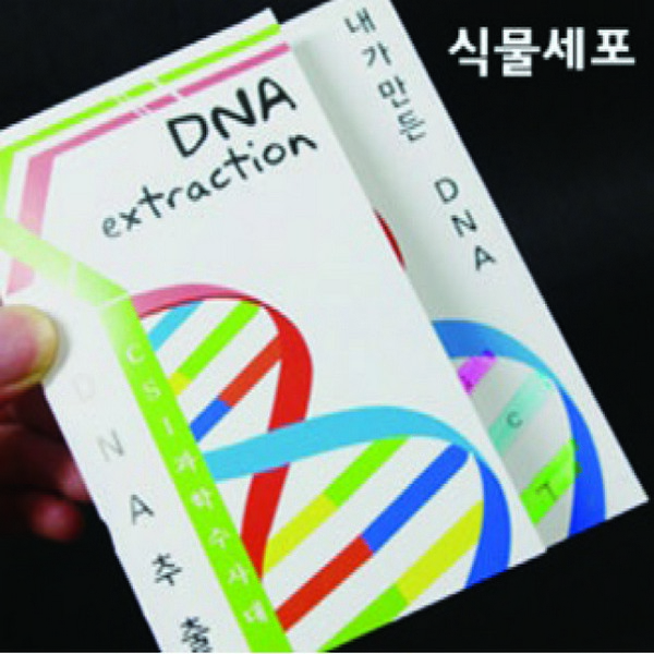 DNA식물세포(10인용)