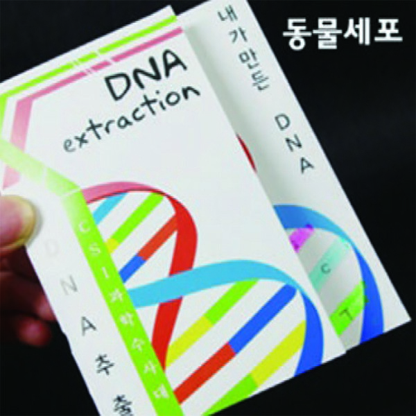 DNA동물세포(10인용)