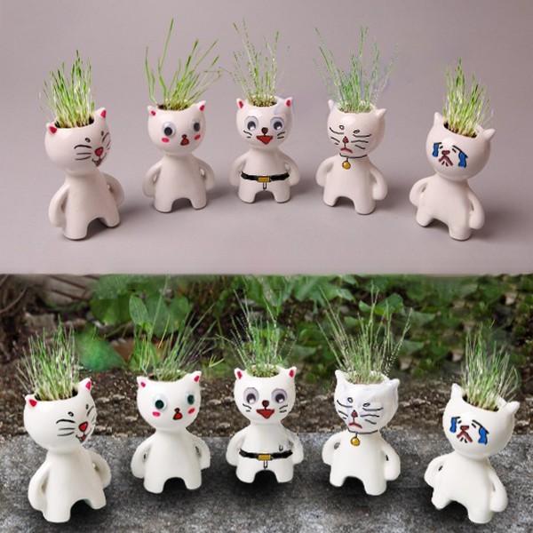 고양이도자기 잔디인형 만들기(5명세트)/물잔디