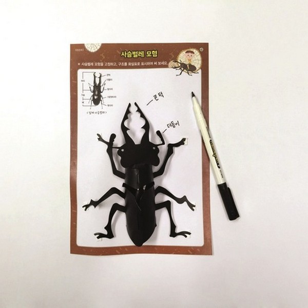 사슴벌레모형만들기(1인세트)/곤충의특징학습