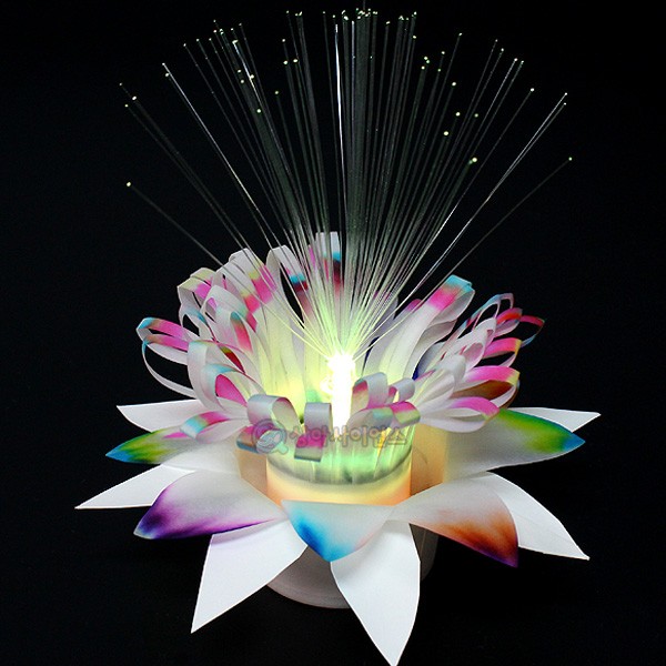 LED 크로마토그래피 꽃 가습기 만들기(1인세트)