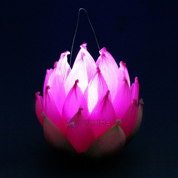 LED 꽃종이 꽃등 만들기(5인세트)