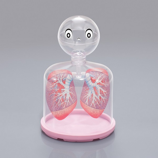 호흡의 구조 모형(허파실험장치)