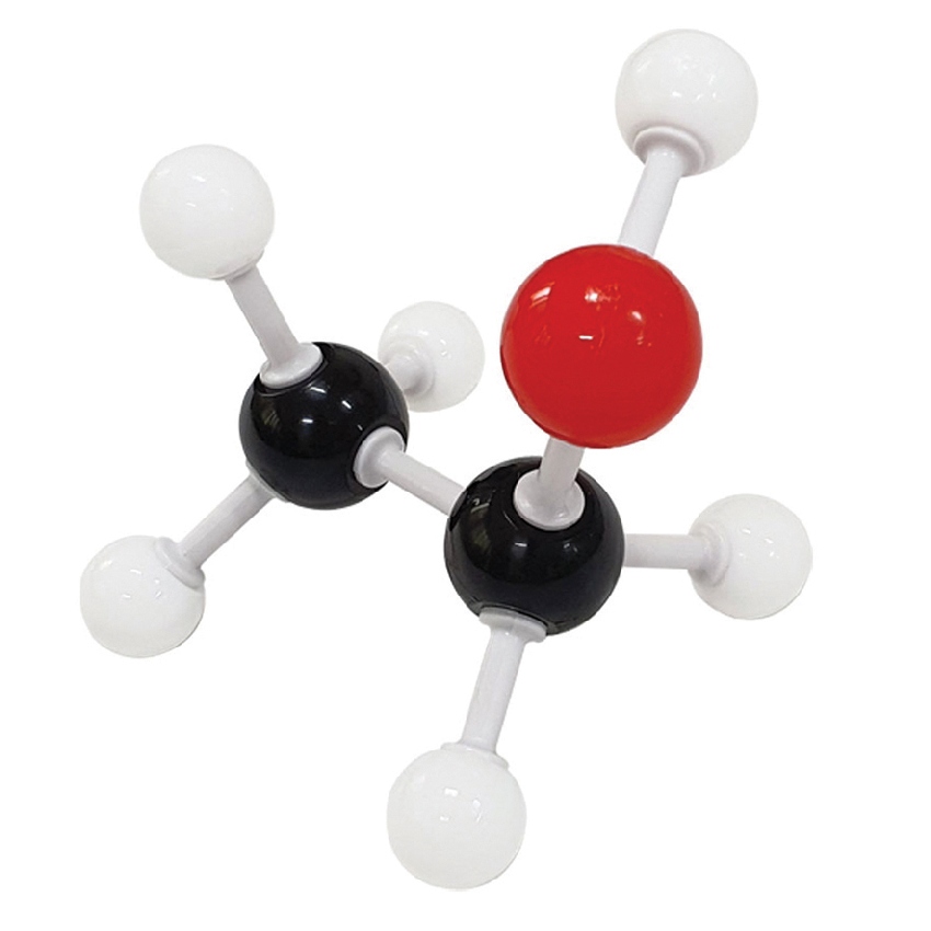 에탄올의 분자 구조 모형 조립 세트(17점)