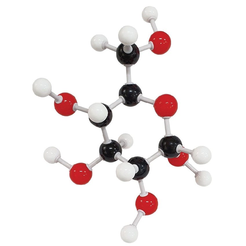 포도당의 분자 구조 모형 조립 세트(48점)