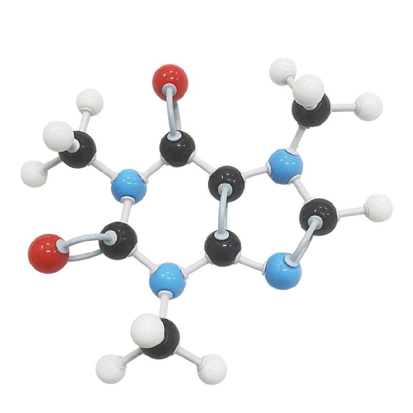 카페인의 분자 구조 모형 조립 세트(53점)