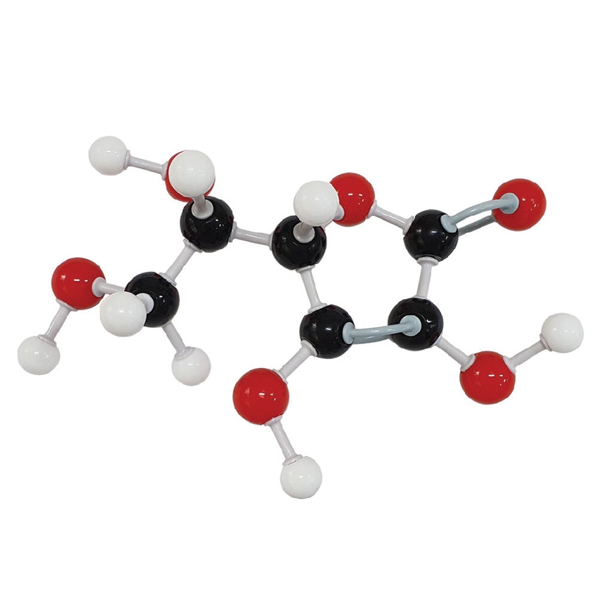 비타민C의 분자 구조 모형 조립 세트(42점)